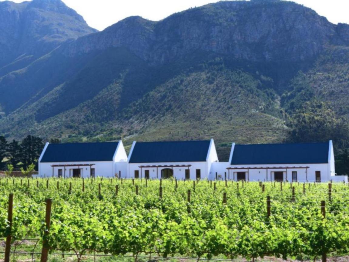 Bed and Breakfast Chambray Estate - The Terraces In The Vines Franschhoek Exterior foto